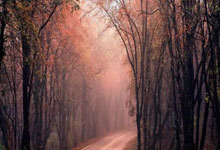 2026世界杯竞猜-足球球料：加布里埃尔・古德蒙德松：我们目标明确